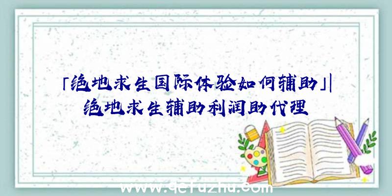 「绝地求生国际体验如何辅助」|绝地求生辅助利润助代理